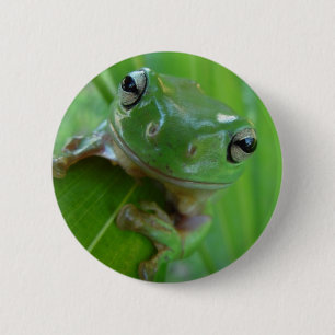 Frosch-Button Button