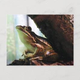 Frosch der grünen und goldenen Glocke Ankündigungspostkarte