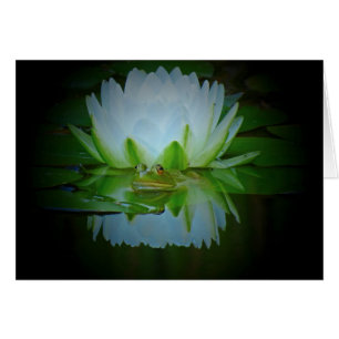 Frosch der Lilie