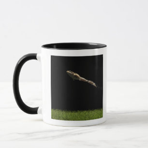 Frosch, der weg vom frischen grünen Gras springt Tasse