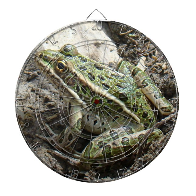 Frosch des Leopard-R3 Dartscheibe (vorne)