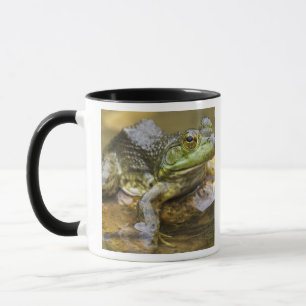 Frosch entlang des Buffalo River, Meile 126 an dem Tasse