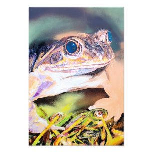 Frosch Fotodruck
