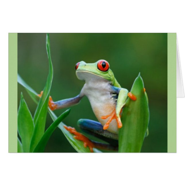 Frosch gefährdete Tier-Reihe (Vorderseite (Horizontal))