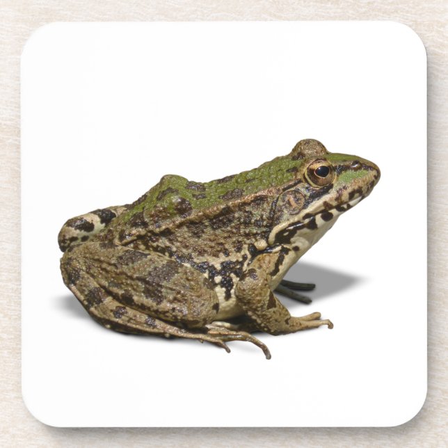 Frosch Getränkeuntersetzer (Vorderseite)