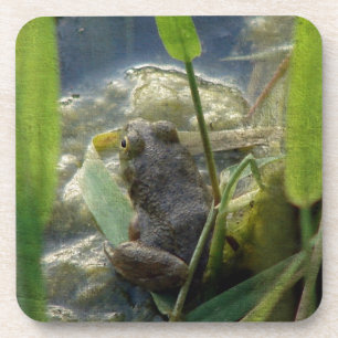 Frosch Getränkeuntersetzer