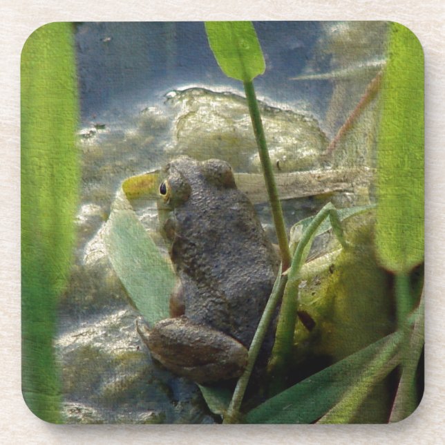 Frosch Getränkeuntersetzer (Vorderseite)