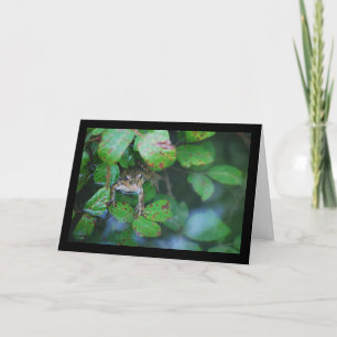 Frosch im blätterreichen Teich Karte