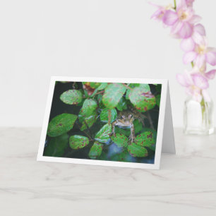 Frosch im Portrait des Leafy Pond Karte