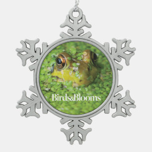 Frosch in der grünen Alge Schneeflocken Zinn-Ornament