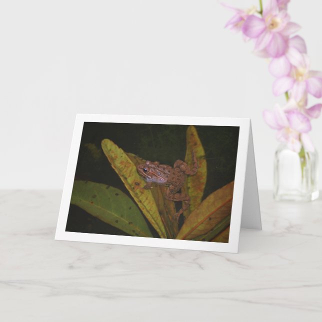 Frosch in Pond Portrait Karte (Orchidee)