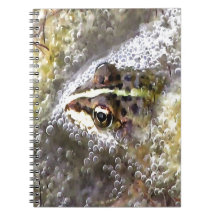 Frosch, in Wasserblasen und Froschlacht getaucht