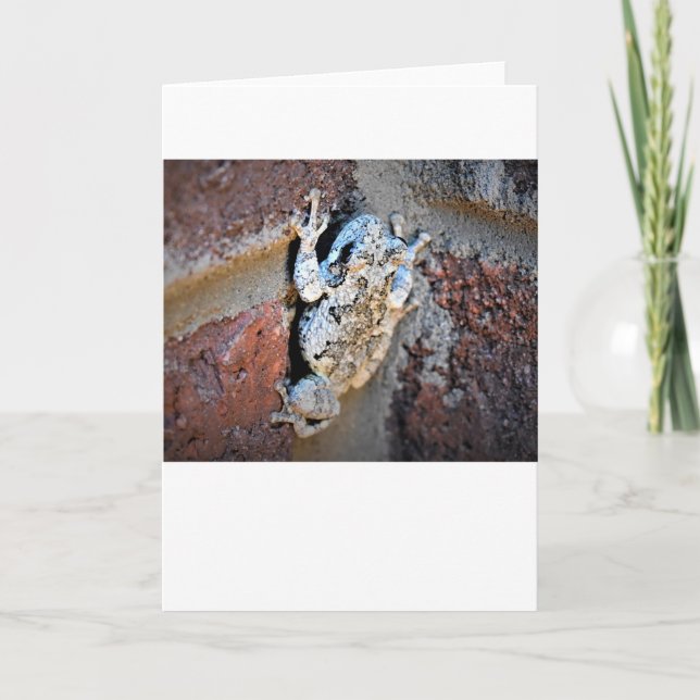 Frosch, Karte (Vorderseite)