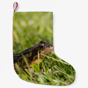 Frosch Kleiner Weihnachtsstrumpf