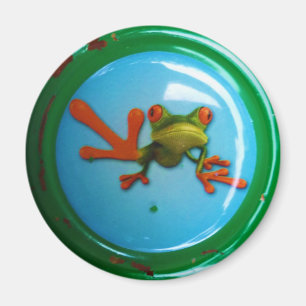 Frosch Magnet