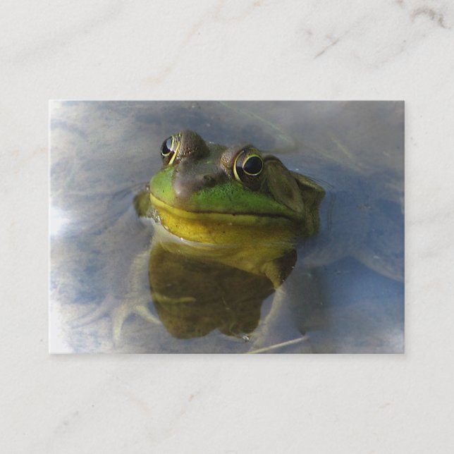 Frosch mit ATC Attitude Visitenkarte (Vorderseite)