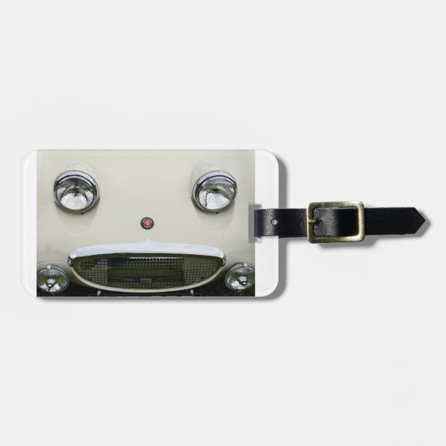 "Frosch-mit Augen" AustinSprite Gepäckanhänger (Vorderseite horizontal)