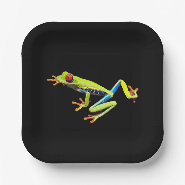 Frosch, Mit Augen gestrichen Pappteller (Vorderseite)