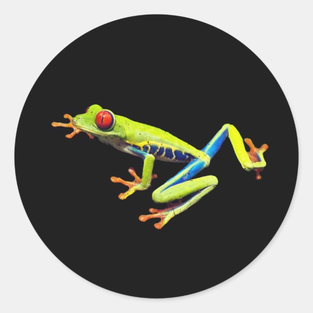 Frosch, Mit Augen gestrichen Runder Aufkleber (Vorderseite)