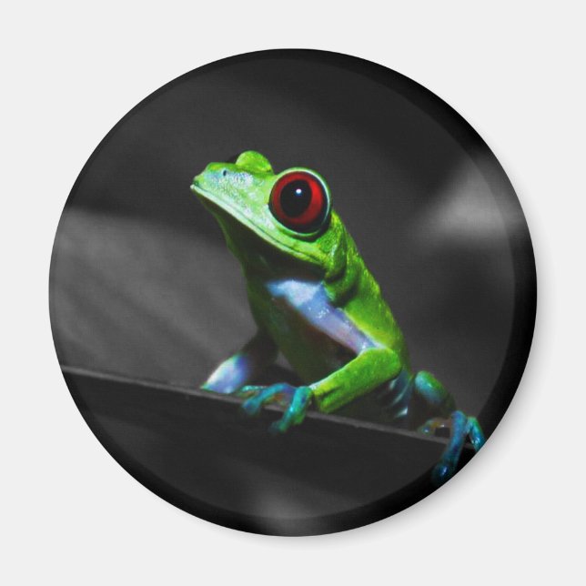 Frosch, Mit Augen Rotbaum III Magnet (Vorne)