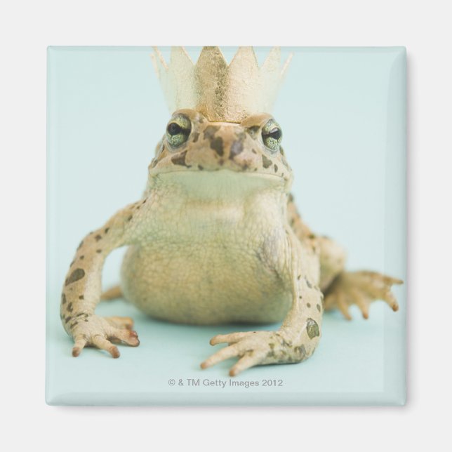 Frosch mit Krone Magnet (Vorne)