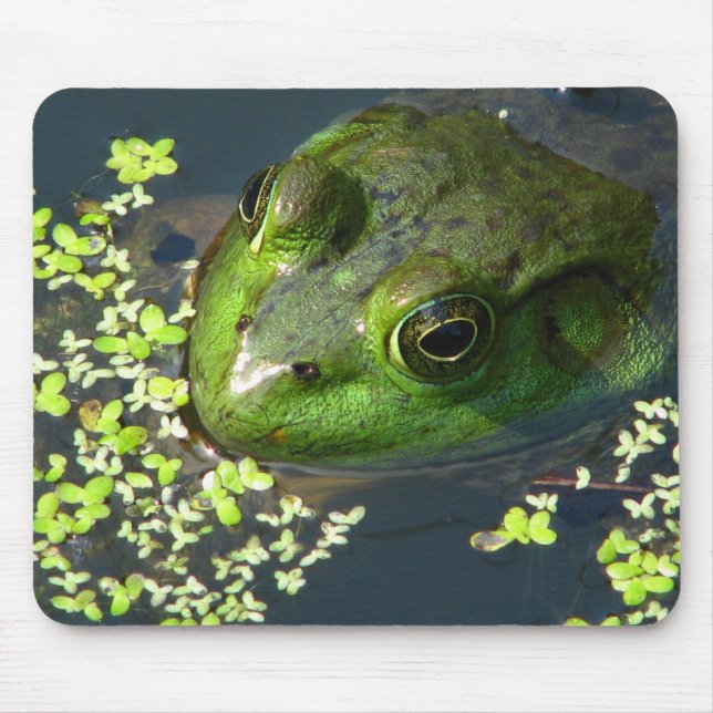 Frosch Mousepad (Vorne)