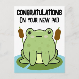 Frosch neues Zuhause Kissen Gratulation Postkarte