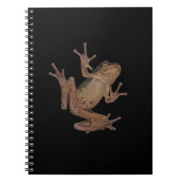 Frosch Notizblock
