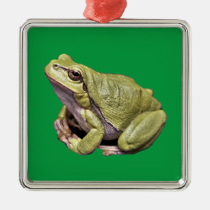 Frosch Ornament Aus Metall