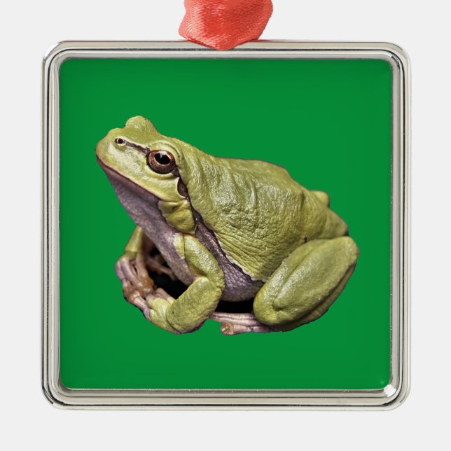 Frosch Ornament Aus Metall (Vorne)