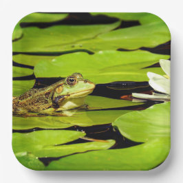 Frosch Pappteller