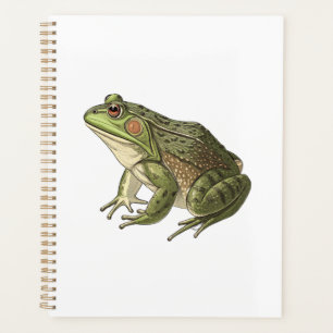 Frosch Planer