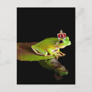 Frosch Postkarte
