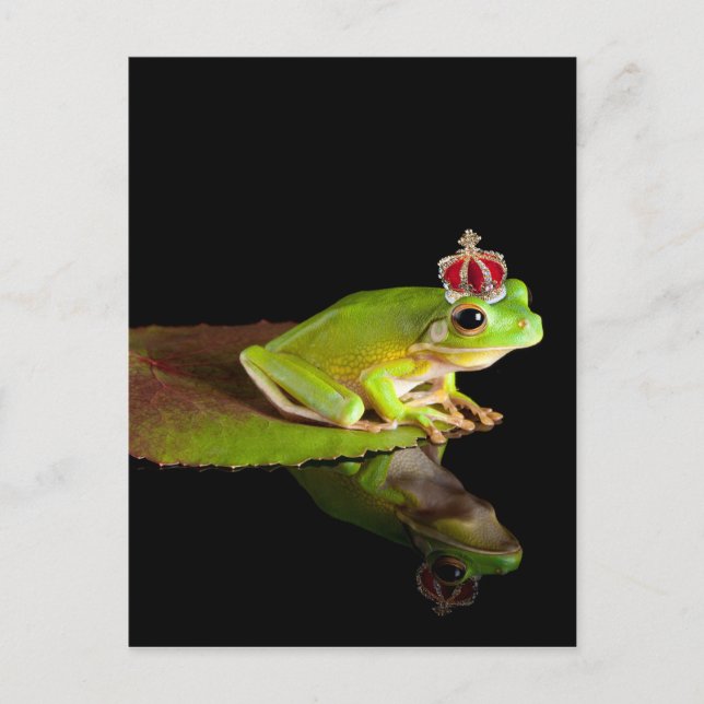 Frosch Postkarte (Vorderseite)