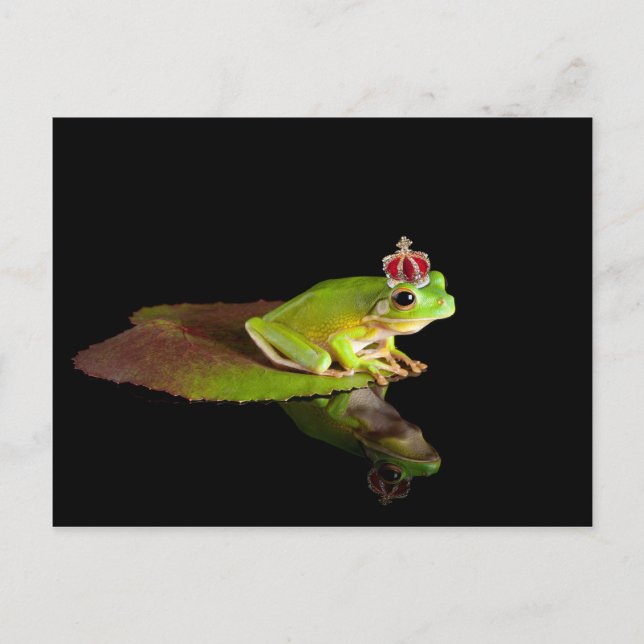 Frosch Postkarte (Vorderseite)