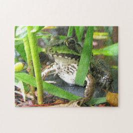 Frosch-Puzzlespiel Extraordinaire