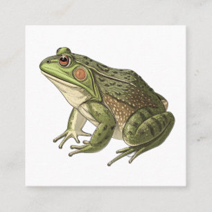 Frosch Quadratische Visitenkarte