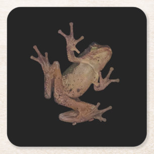 Frosch Rechteckiger Pappuntersetzer