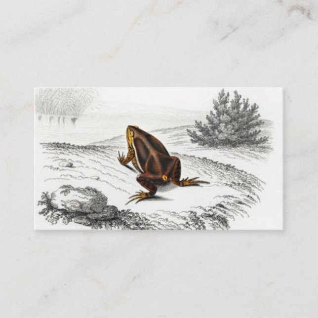 Frosch Reptilien Vintage Kunst Visitenkarte (Vorderseite)
