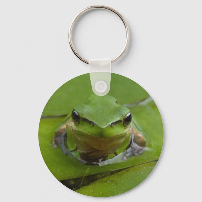 Frosch-Schlüsselanhänger Schlüsselanhänger (Vorderseite)