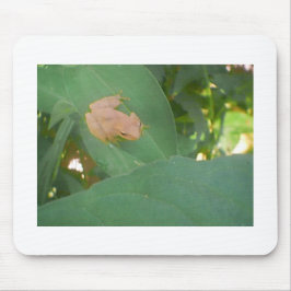 Frosch sitzend auf grünem Leaf Mousepad