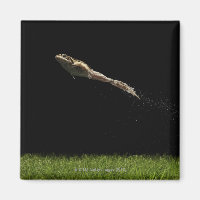 Frosch sprang von frisch grünem Gras
