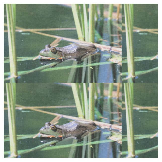 Frosch Stoff (Nahaufnahme)