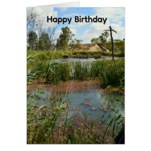 Frosch-Sumpf-Paradies Riverland Australien, Geburt