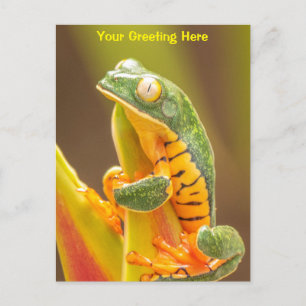 Frosch Tiger Leg Monkey Tree Personalisiert Postkarte