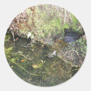 Frosch und Froschspaß in einem Teich-Aufkleber Runder Aufkleber