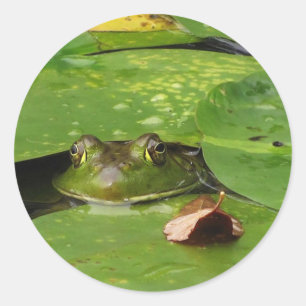 Frosch-und Lilien-Auflagen Runder Aufkleber