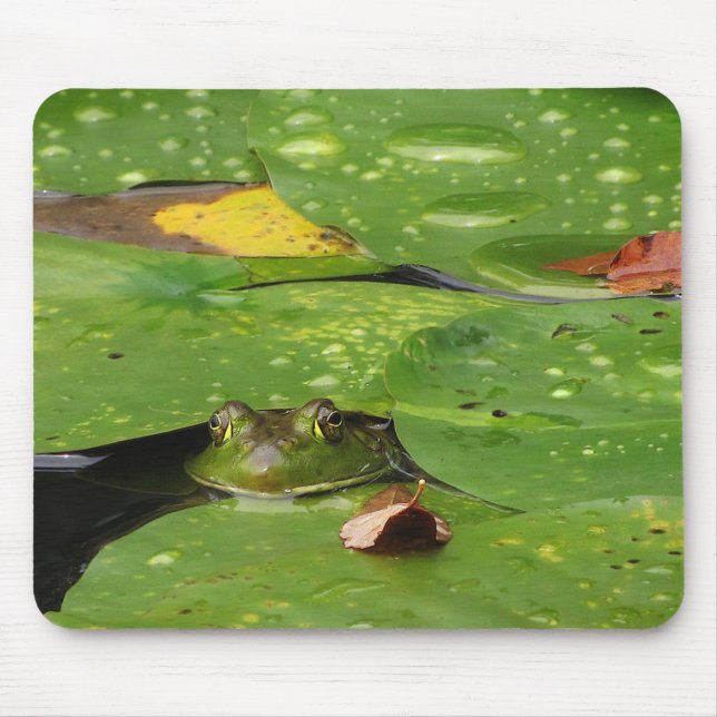 Frosch- und Lily-Pads Mousepad (Vorne)