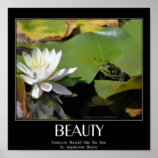 Frosch und Lotus Blume Schönheit Zitat Inspiration Poster (Vorne)