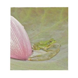 Frosch und Lotusblütenblatt, China, Notizblock